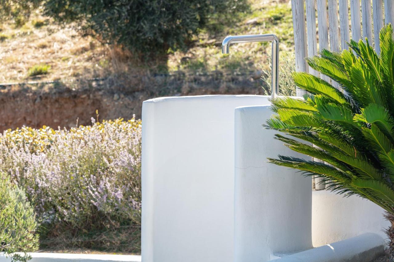 Villa Nissos プラキアス エクステリア 写真